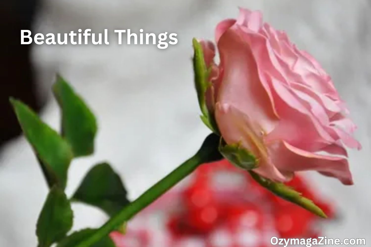 Beautiful Things