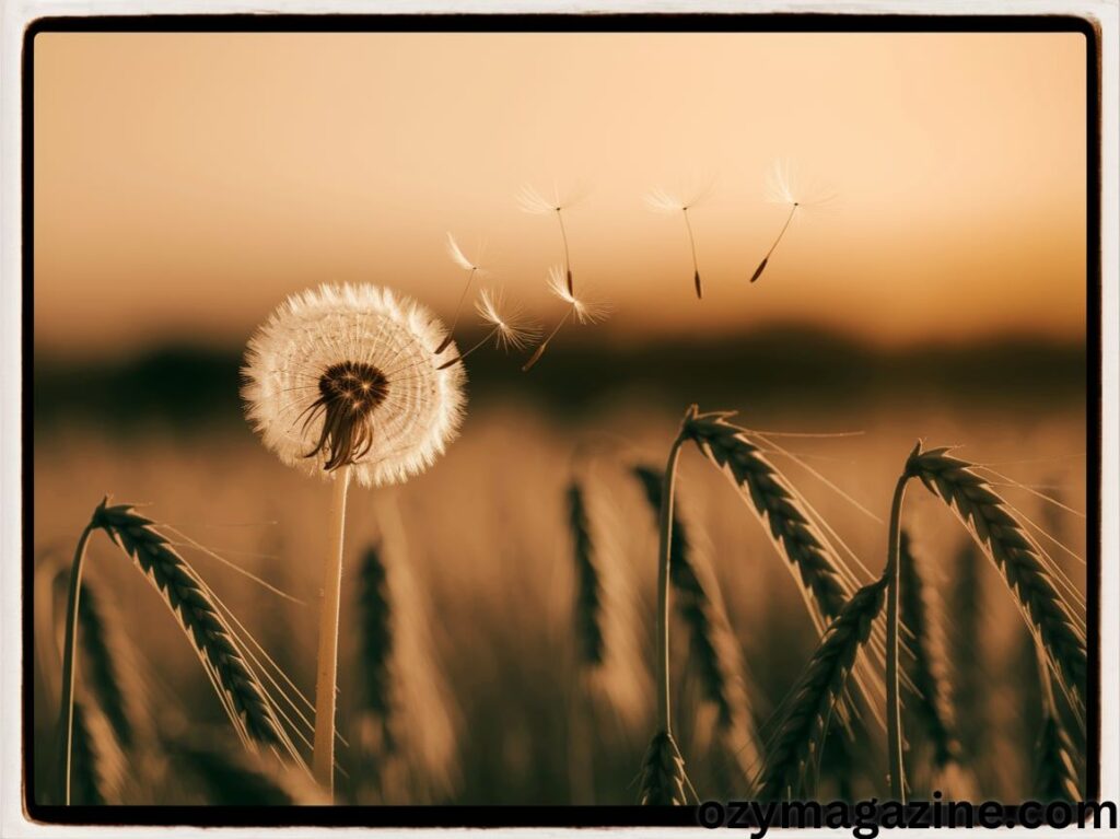 Happy Friday Blessings Images