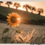 Happy Friday Blessings Images